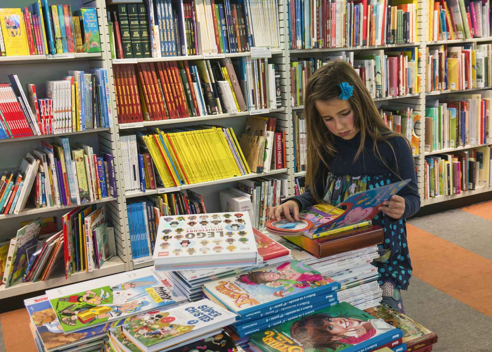 Essay on book fair for class 5 Essay on book fair for class 5 image
